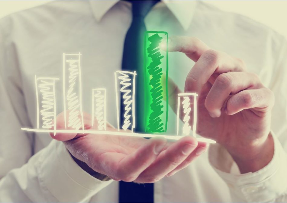 Are You Investing for Income or Capital Growth?