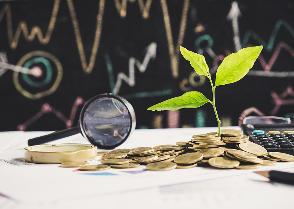 What is Investment Advice - How to invest wisely