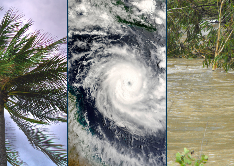 March 17, 2025 Financial Assistance and Recovery Support for Tropical Cyclone Alfred